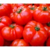 Bioland Fleischtomate 2 Bioland Fleischtomate -Pflanzenbedarf Geschäft 8842627 WE DE 001 BiolandFleischtomate