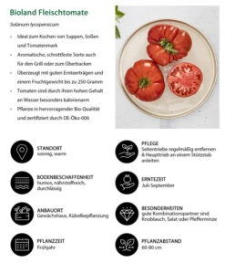 Bioland Fleischtomate -Pflanzenbedarf Geschäft 8842627 WE IG 001 BiolandFleischtomate
