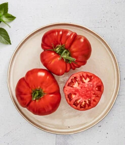 Bioland Fleischtomate -Pflanzenbedarf Geschäft 8842627 WE MO 001 BiolandFleischtomate