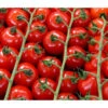 Bioland Cherrytomate -Pflanzenbedarf Geschäft 8842635 WE DE 001 Bio Cherrytomate