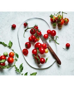 Bioland Cherrytomate -Pflanzenbedarf Geschäft 8842635 WE MO 002 Bio Cherrytomate