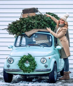 Nordmann-Tanne, Ca. 100-150 Cm, Gesägt -Pflanzenbedarf Geschäft 8996480 WE MO 001 AbiesNordmannianaTitel