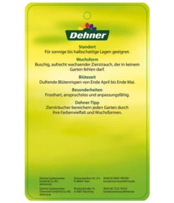 Edelflieder 'Sensation' -Pflanzenbedarf Geschäft EdelFliederSensation Etikett 2